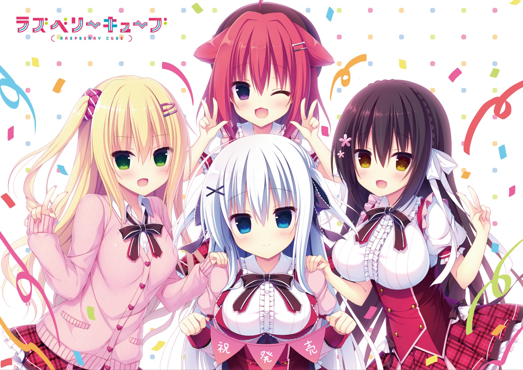 180919_nyukou_raspberry_release確認用_オモテ.jpg