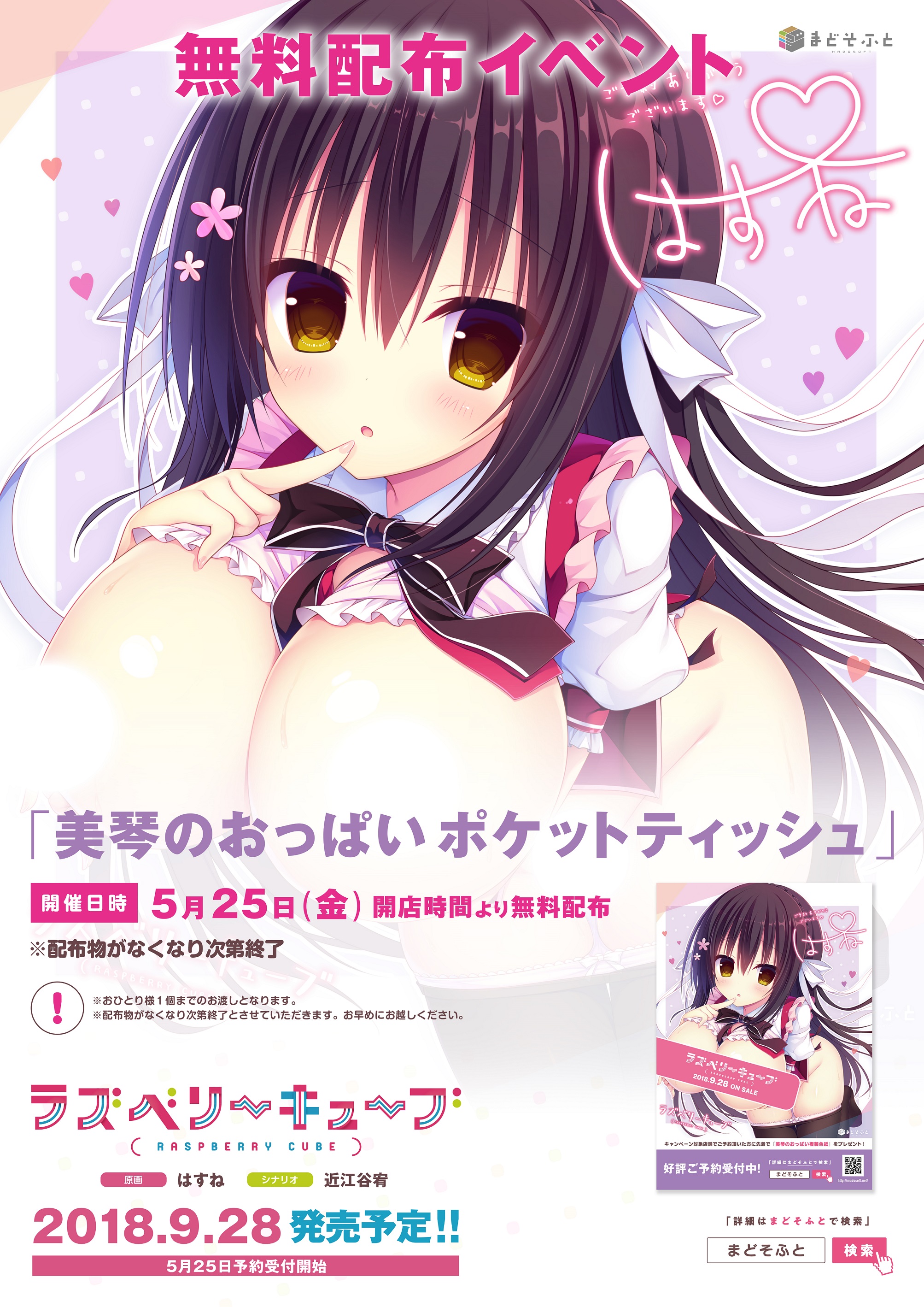 syusei5月末早期予約ポケットティッシュ_A3POP2.jpg