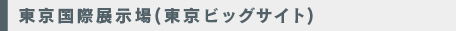 C99_東京国際展示場.jpg