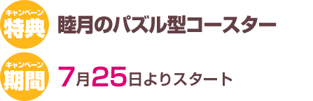 �p�Y���R�[�X�^�[