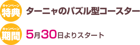 �p�Y���R�[�X�^�[