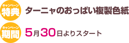 ���T�F�^�[�j���̂����ς��F���E����5��30�����\���t�J�n