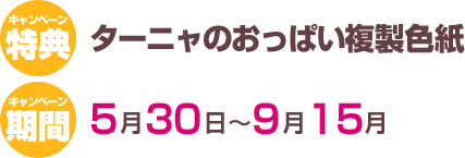 ���T�F�^�[�j���̂����ς��F���E���ԁF5��30���`8��31��