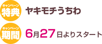 ���T�F���L���`������